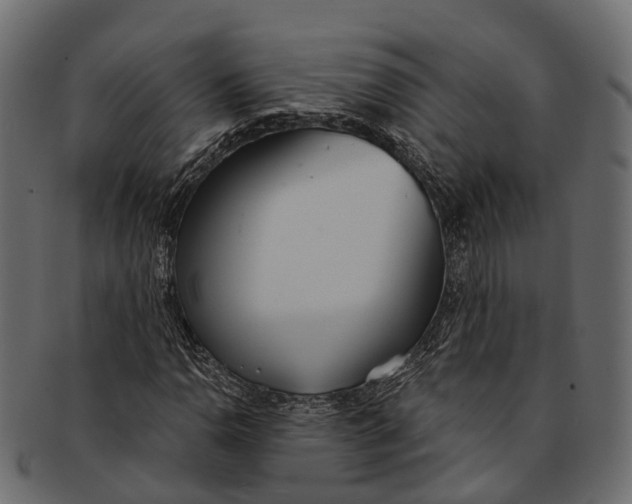 X0000091561110200709071121