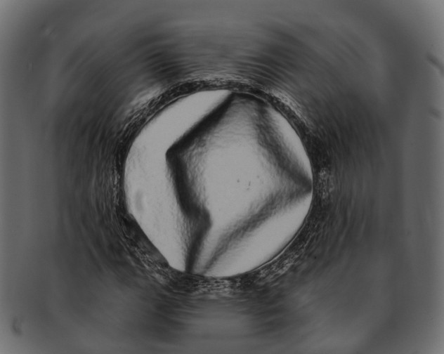 X0000091561111200709071121