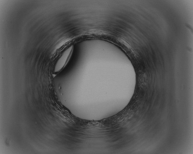 X0000091561112200709071121