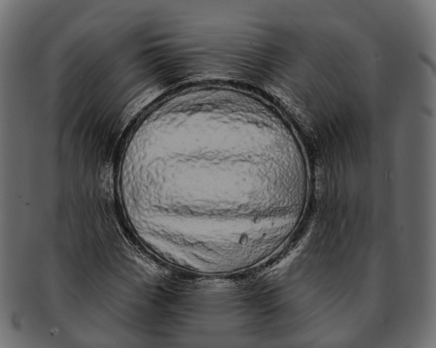 X0000091561113200709071121