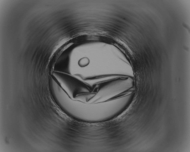 X0000091561114200709071121