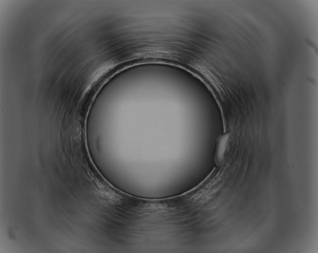 X0000091561115200709071121