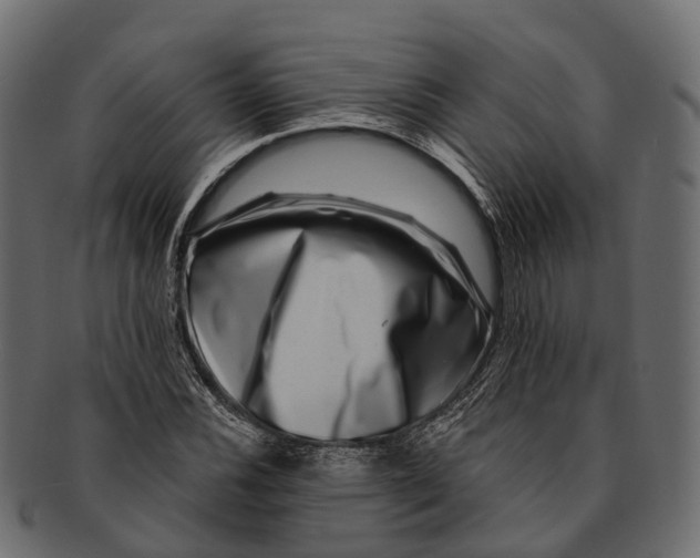 X0000091561116200709071121