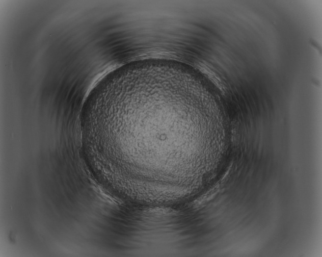 X0000091561117200709071121