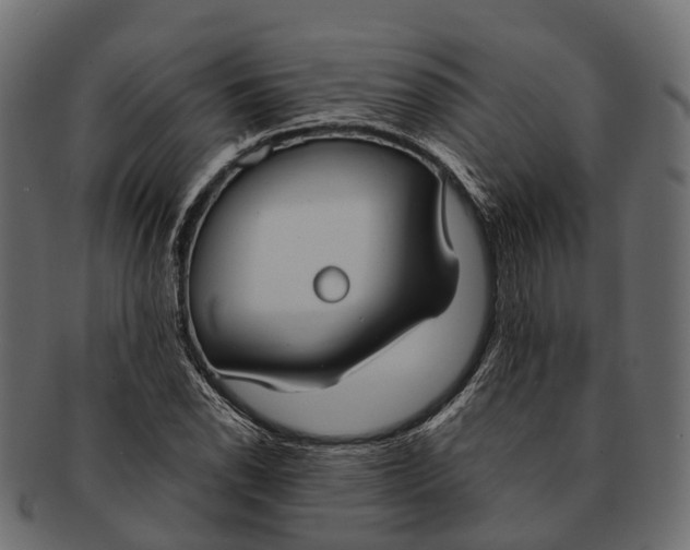 X0000091561118200709071121