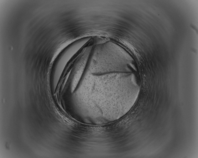 X0000091561120200709071121