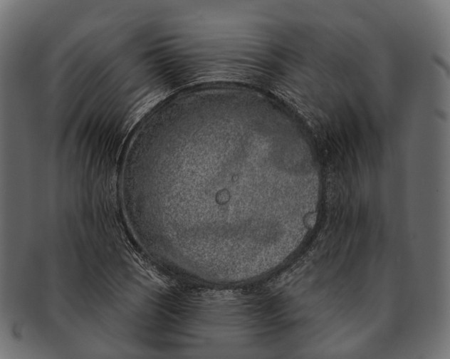 X0000091561121200709071121