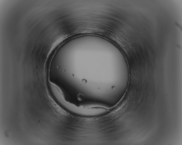 X0000091561122200709071121