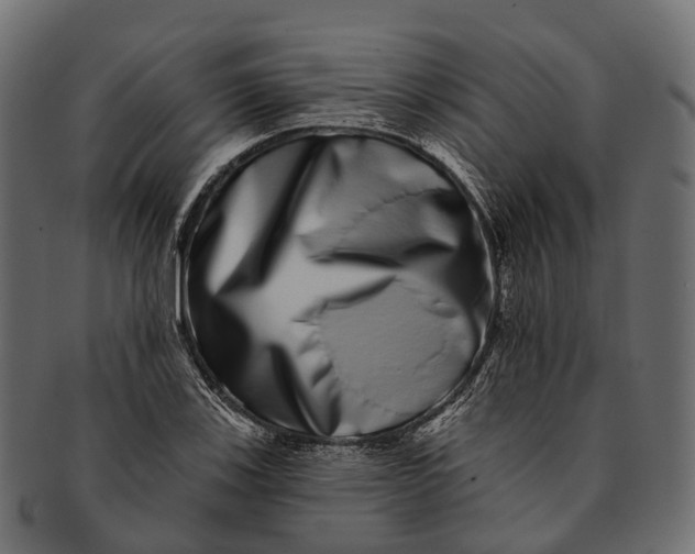 X0000091561123200709071121