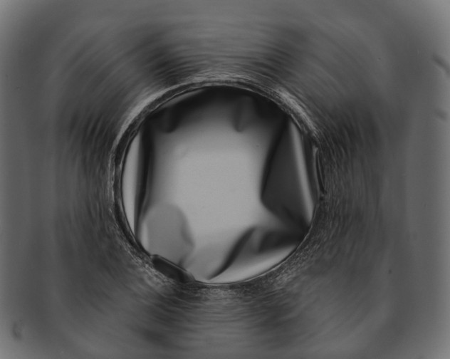 X0000091561124200709071121