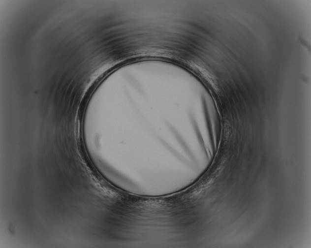 X0000091561125200709071121