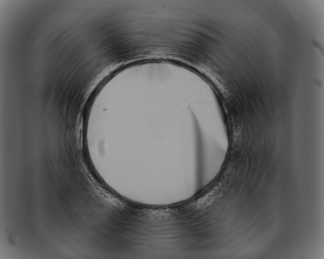 X0000091561126200709071121