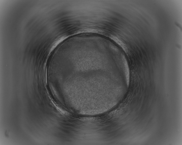 X0000091561127200709071121