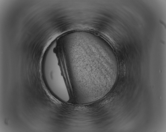 X0000091561128200709071121