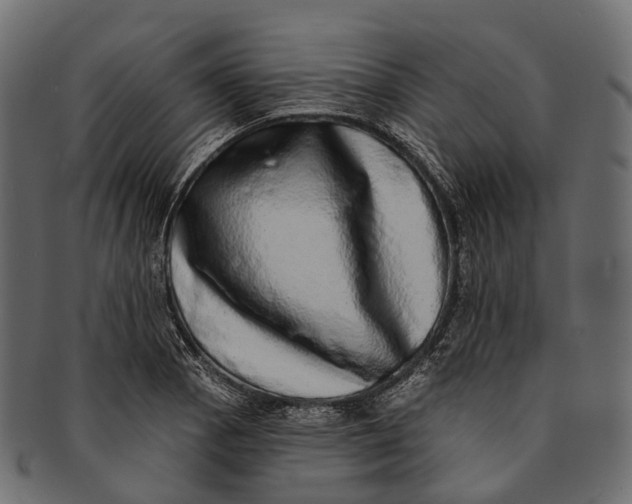 X0000091561129200709071121