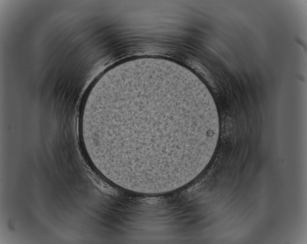 X0000091561130200709071121