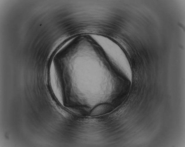 X0000091561131200709071121