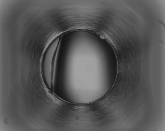 X0000091561132200709071121