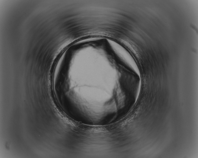 X0000091561133200709071121