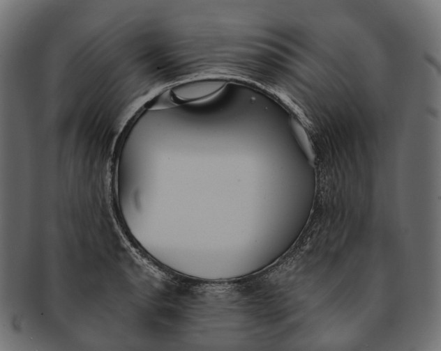 X0000091561134200709071121