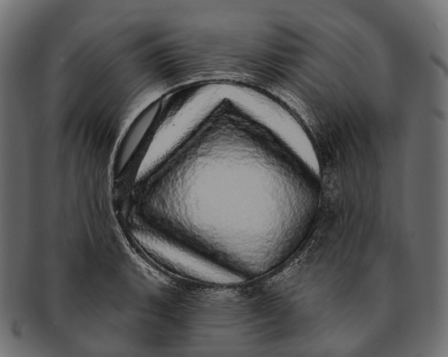 X0000091561135200709071121