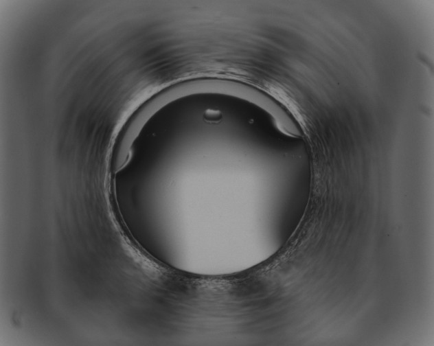 X0000091561136200709071121