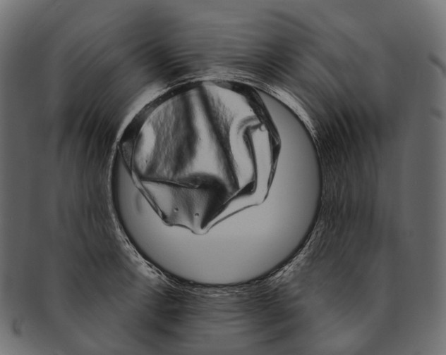 X0000091561138200709071121