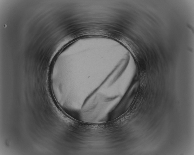 X0000091561139200709071121