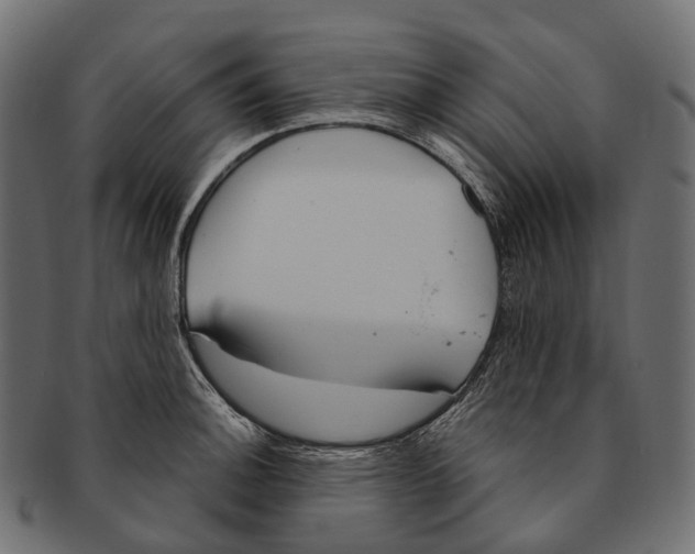 X0000091561140200709071121