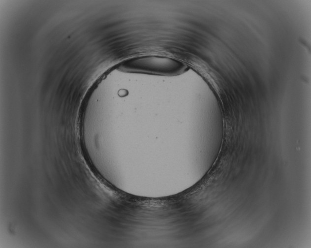 X0000091561141200709071121