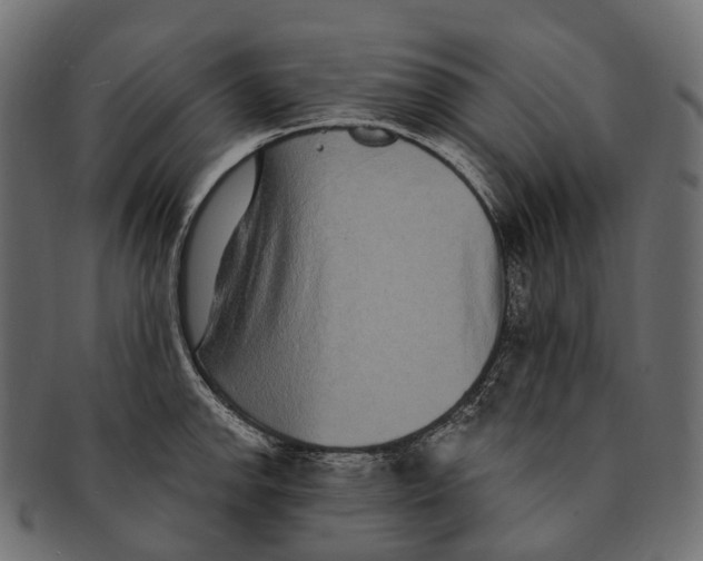 X0000091561142200709071121