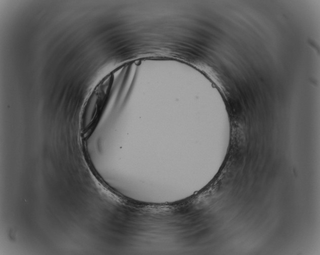 X0000091561143200709071121