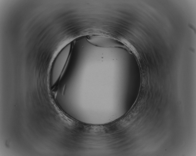 X0000091561144200709071121