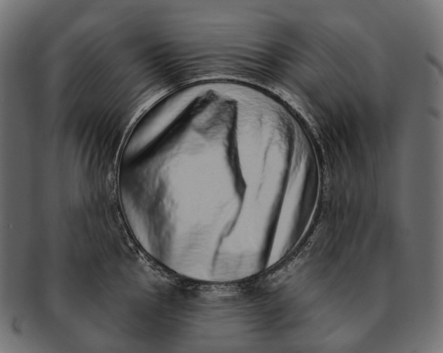 X0000091561145200709071121