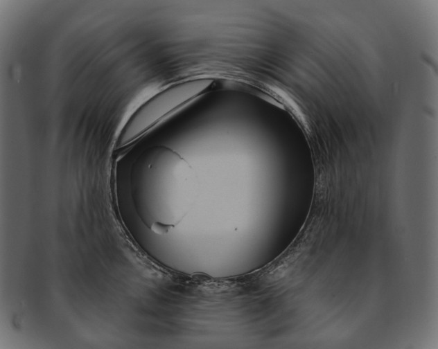 X0000091561146200709071121