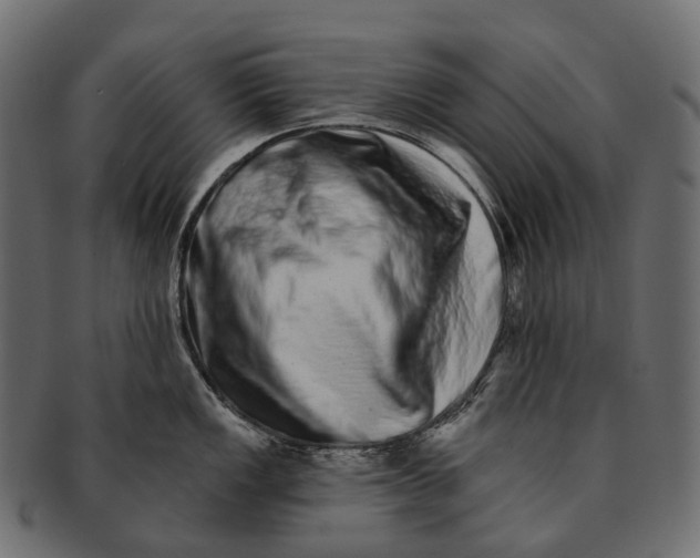 X0000091561149200709071121