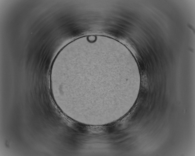 X0000091561150200709071121