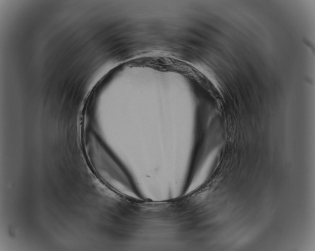 X0000091561151200709071121