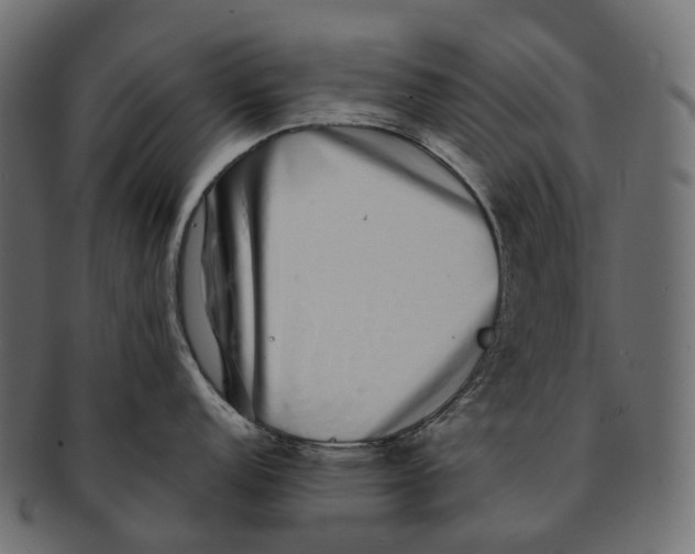 X0000091561152200709071121