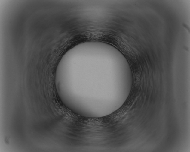 X0000091561153200709071121