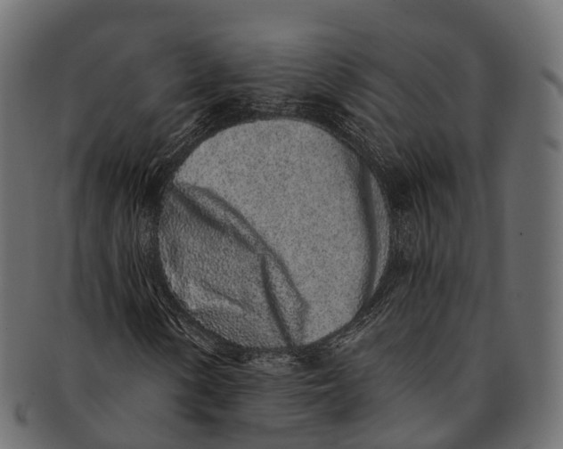 X0000091561154200709071120