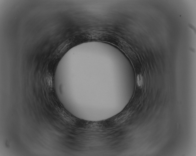 X0000091561155200709071120