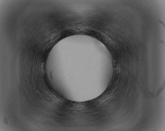 X0000091561156200709071120