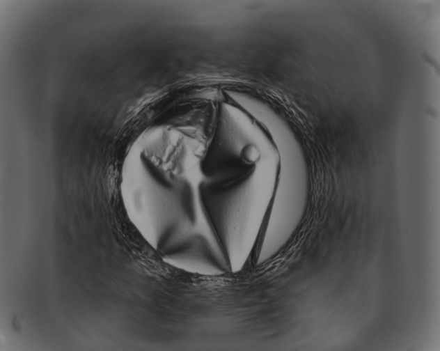 X0000091561157200709071120