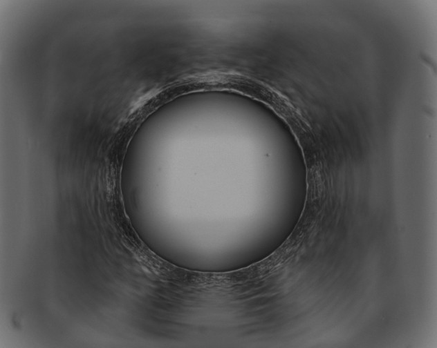 X0000091561158200709071120