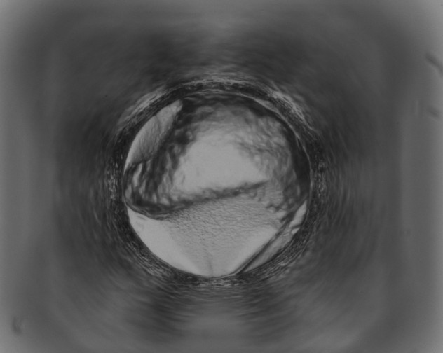 X0000091561159200709071120