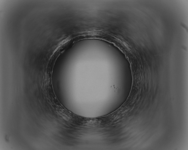 X0000091561160200709071120