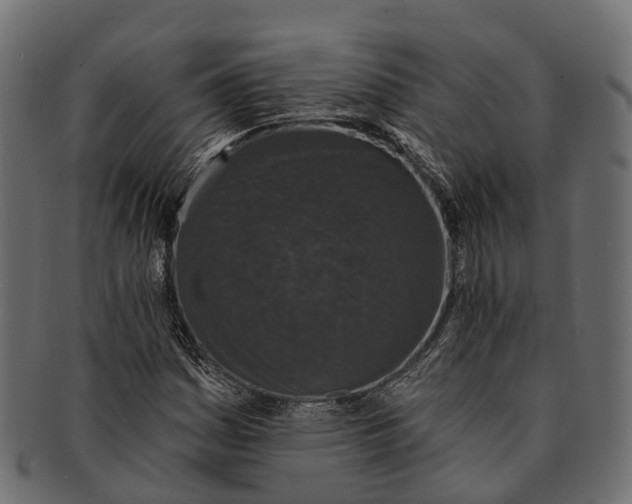 X0000091561161200709071120