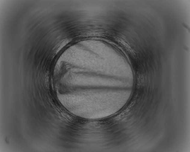 X0000091561162200709071120