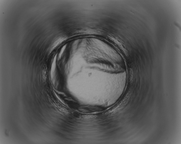 X0000091561163200709071120